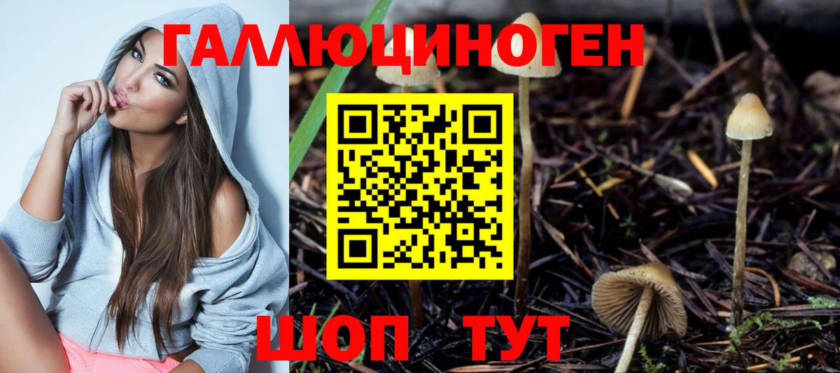 Псилоцибиновые грибы ЛСД Кубинка
